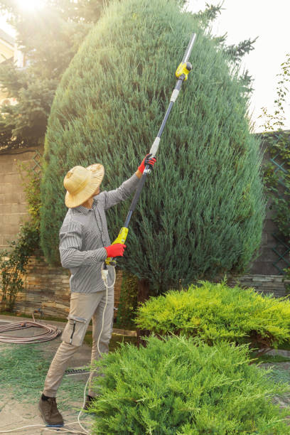 Lawn Watering Services in Bright, IN